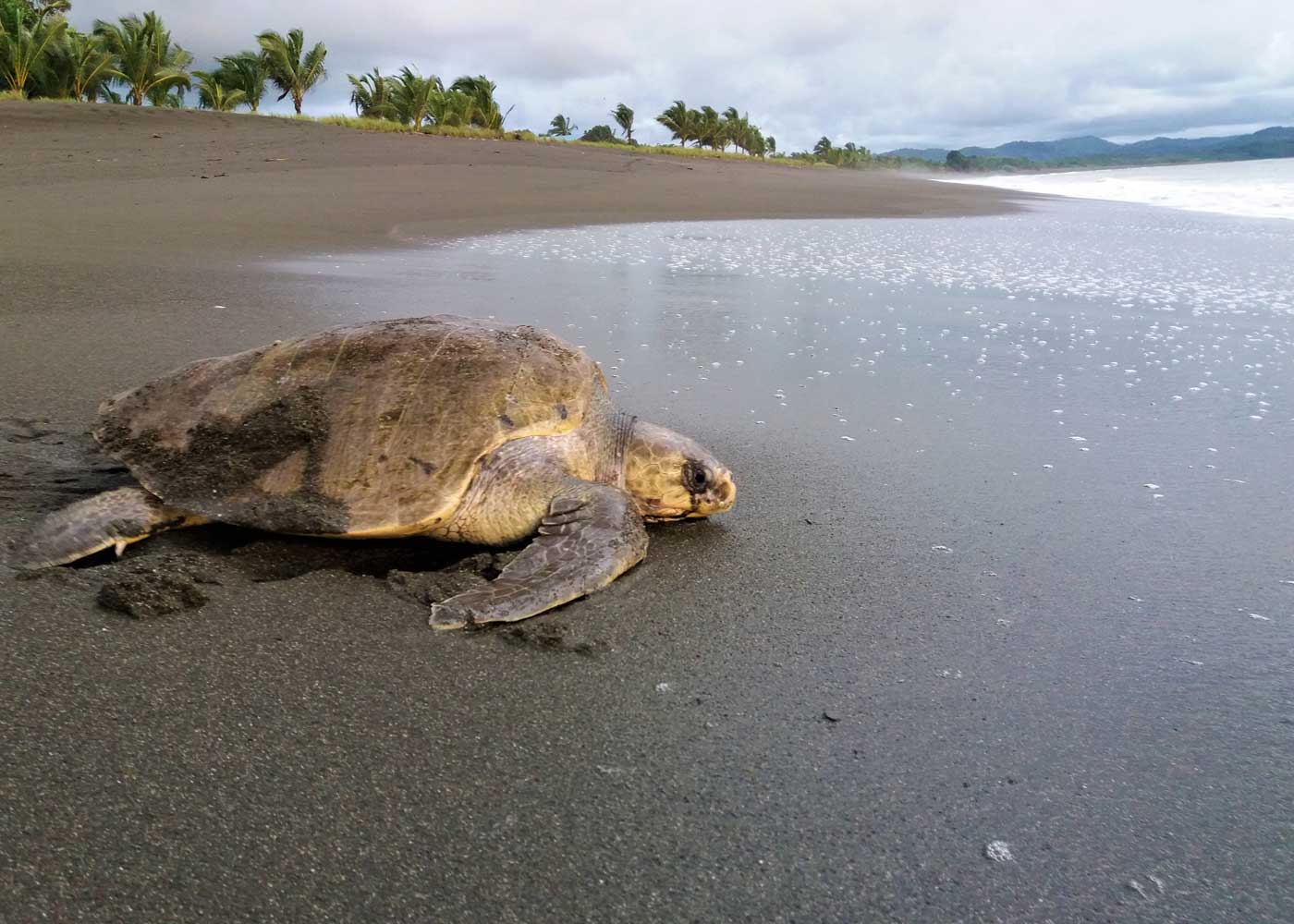 fundacion-agua-y-tierra-gallery-4